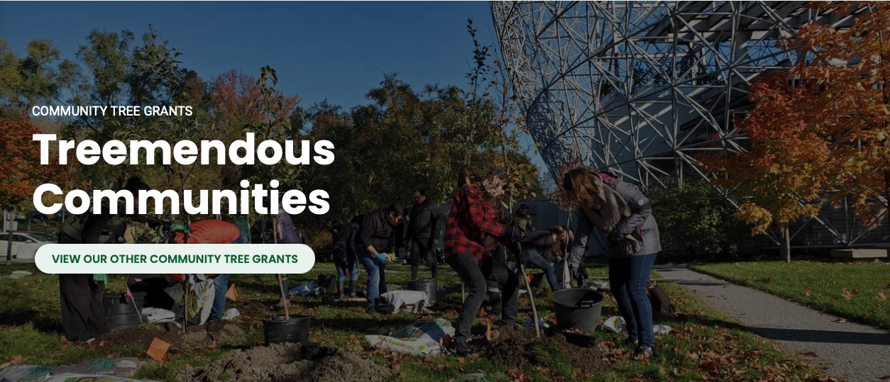 funding opportunity image