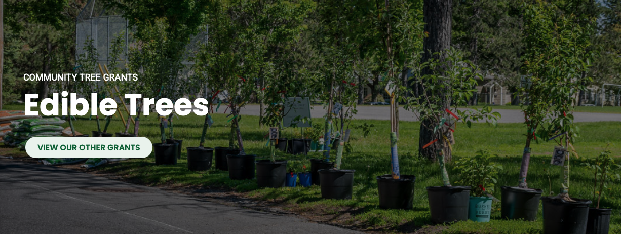 funding opportunity image