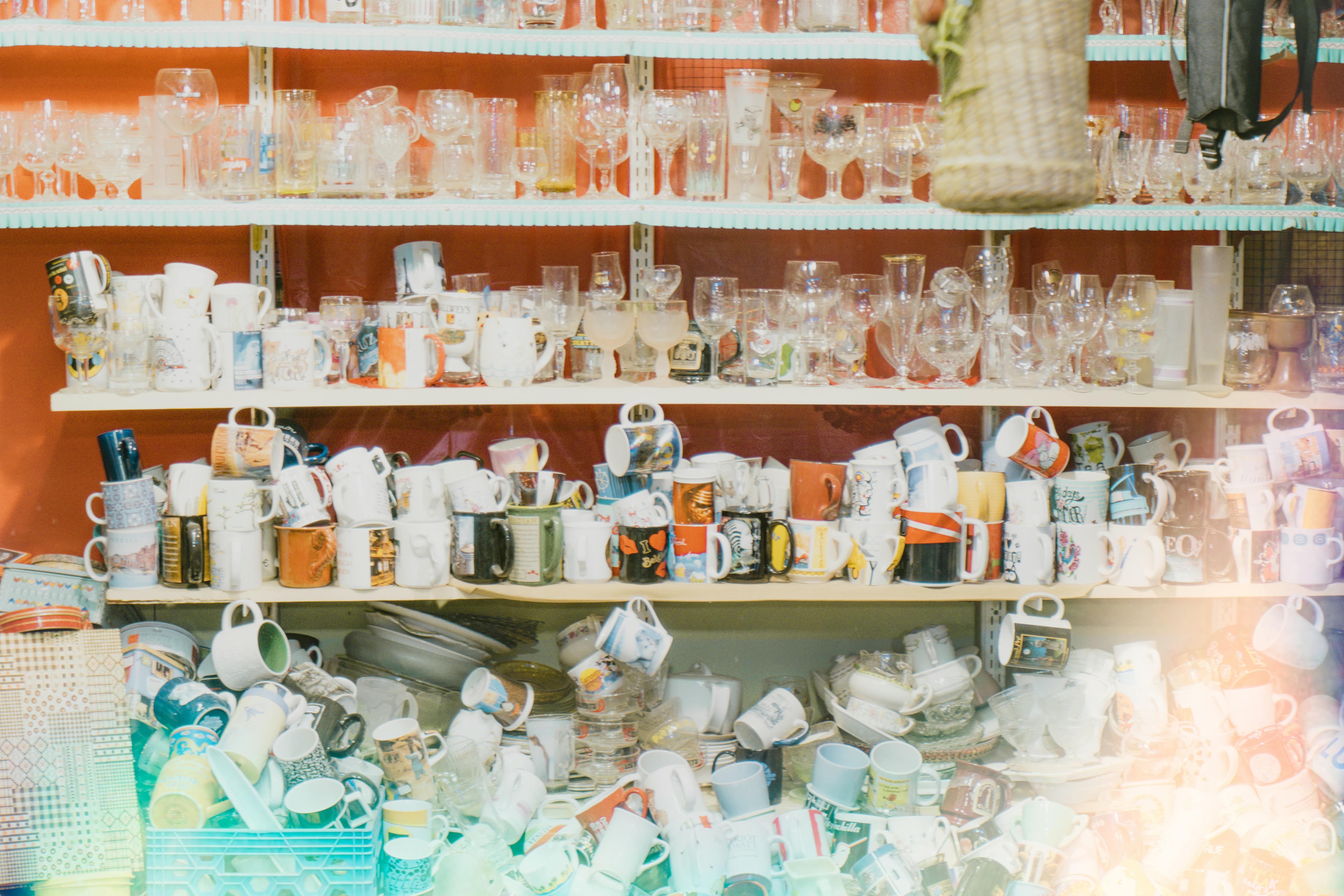 [Webinar] Introduction to Extreme Clutter - Healthy Aging CORE BC